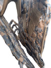 U.S. UCP-Delta Camo Plate Carrier