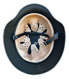 WW2 German M40 Single Decal Heer Helmet W/Normandy "Half Basket" Chicken Wire and 59cm Liner