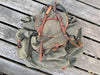 Norwegian Mountain Rucksack 1