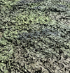 West German Camouflage Netting/Radar Screen- Used