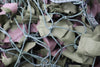 British Woodland Camouflage Radar Netting/Screening- Used.